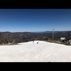 Meet your Posher, Lucy